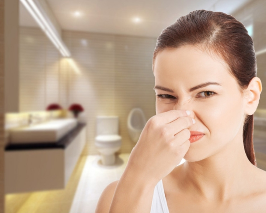 Công ty Môi Trường Xanh xử lý mùi hôi nhà vệ sinh tại Đồng Nai hiệu quả Công ty Môi Trường Xanh xử lý mùi hôi nhà vệ sinh tại Đồng Nai hiệu quả
