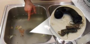 Giới thiệu về công ty Dịch Vụ Môi Trường Xanh