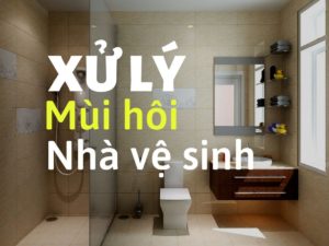 Tại sao nhà vệ sinh lại có mùi hôi?