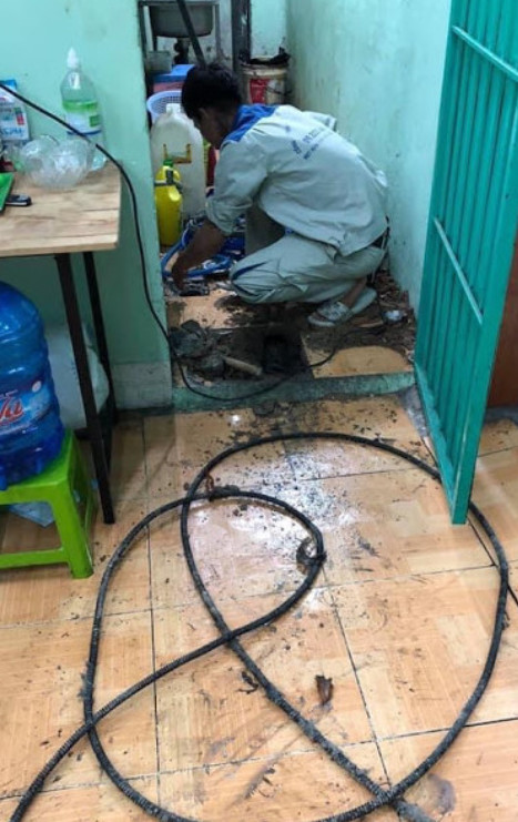 Dịch